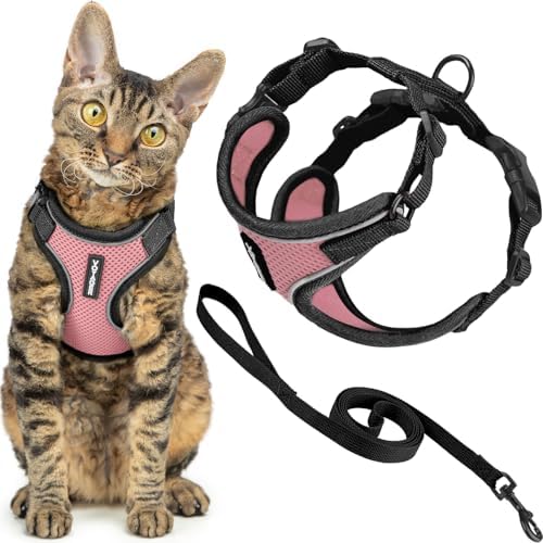 Voyager Escape-Proof Step-in Lock Cat Harness & 5ft Neoprene-Handle Leash Set All-Weather Mesh with Reflective Stitching for Small to Large Cats by Best Pet Supplies, Black Trim-Pink (327), XXS
