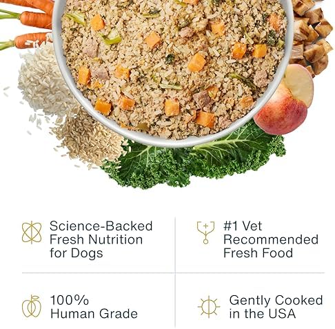 JustFoodForDogs Pantry Fresh Wet Dog Food,Complete Meal or Dog Food Topper,Chicken & White Rice Human Grade-Dog-Food Recipe - 12.5 oz,(Pack of 24)