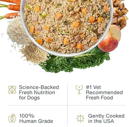 JustFoodForDogs Pantry Fresh Wet Dog Food,Complete Meal or Dog Food Topper,Chicken & White Rice Human Grade-Dog-Food Recipe - 12.5 oz,(Pack of 24)