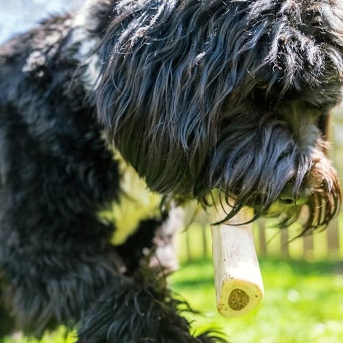 Cadet Stuffed Shin Bones for Dogs, Chicken Flavor Dog Chews, Large, 5-6"