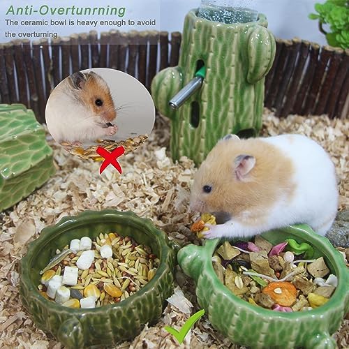 2 Pack Green Cactus Ceramic Hamster Food Bowl Anti-Tip Water Dish