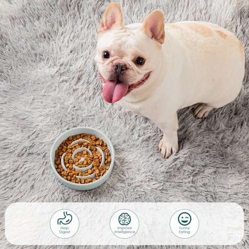 vancasso Slow Feeder Dog Bowls, 0.6 Cup Ceramic Puzzle Dish for Small Breed