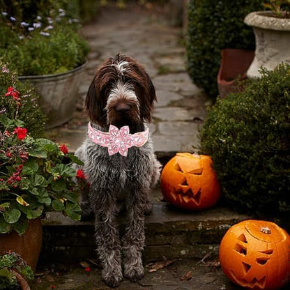 Elegant little tail Halloween Dog Collar, Pink Ghosts Print Dog Collar with Flower Puppy Collar Flower Female Cotton Adjustable Collars for Small Medium Large Dogs