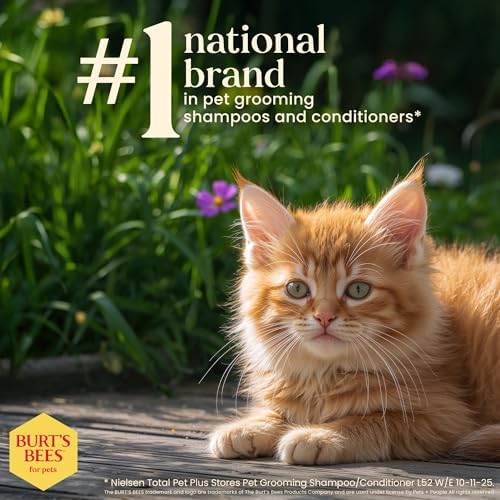 Burts Bees for Pets Tearless Kitten Shampoo with Buttermilk, 10 Fl Oz, 6-Pk