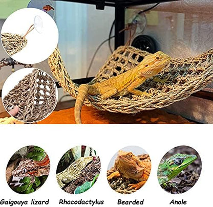 Tfwadmx 3 Pack Bearded Dragon Hammock Lizards Lounger Reptile Climbing Accessories, Natural Seagrass Fibers Hammock for Reptiles Geckos Anoles Iguanas Hermit Crabs Triangular