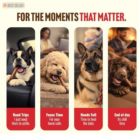 Natural Farm Odor-Free Thin Bully Sticks (12”, 12-Pack) All-Natural Dog Chews, 100% Beef Pizzle, Grass-Fed, Grain-Free, Protein for Muscle Development & Energy, Perfect for Small & Senior Dogs