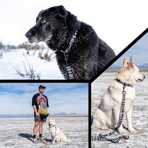Wolfgang 1 Inch Venture Dog Leash Newmoon Print Small