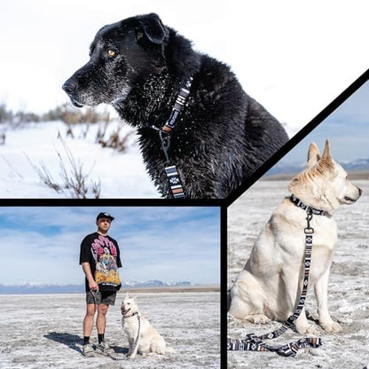 Wolfgang 1 Inch Venture Dog Leash Newmoon Print Small