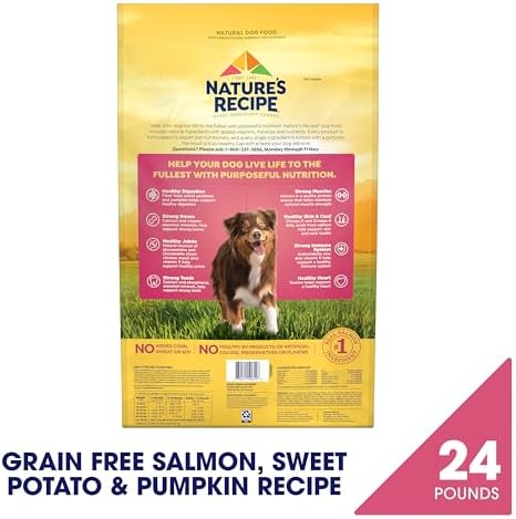 Nature's Recipe Grain Free Salmon Dry Dog Food, 24 lb. Bag
