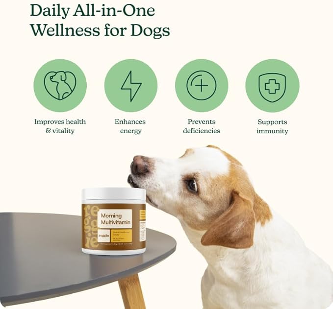 Reggie Morning Multivitamins for Dogs | Daily Dog Vitamin Chews with Vitamins & Minerals for Immunity, Heart, Skin, Coat, Joints & Digestion | Vet-Approved, Natural Dog Supplement | 60 Soft Chews