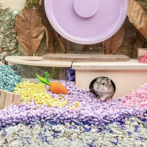Niteangel Hamster Chew & Decor Toys: Pack of 6 Carrot-Shape & Beech Wood