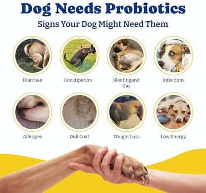 Probiotics for Dogs, Dog Gut, Immune & Skin Health Support Supplement