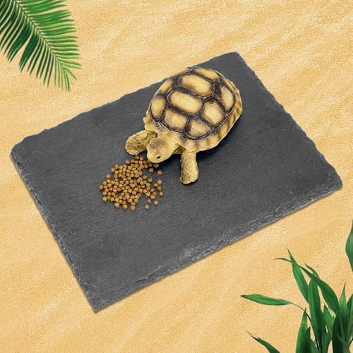 Rock Basking Platform with Bowl & Mat for Reptiles Small