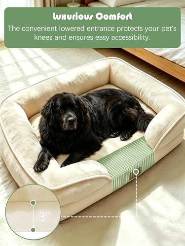 Spotted Play Orthopedic Dog Bed with Sides - Sofa Beds for Extra Large Dogs, Supportive Foam Pet Couch Bed with Washable Removable Cover, Waterproof Lining and Non-Slip Bottom, Ivory - XXL