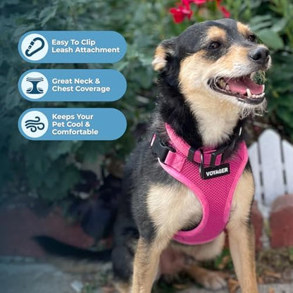 Best Pet Supplies Voyager Step-in Lock Pet Harness w Reflective Pet Leash Combo Set with Neoprene Handle 5ft - Supports Small, Medium and Large Breed Puppies/Cats - Fuchsia Set, M