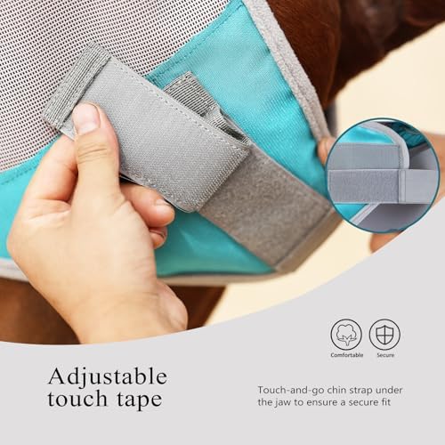 Harrison Howard Half Face Horse Fly Mask UV Protection and Breathable for Equine Use Comfortable Mint XL