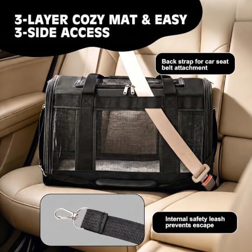 Extra-Large Cat Carrier, Soft-Sided Collapsible Pet Carrier up to 22 lbs