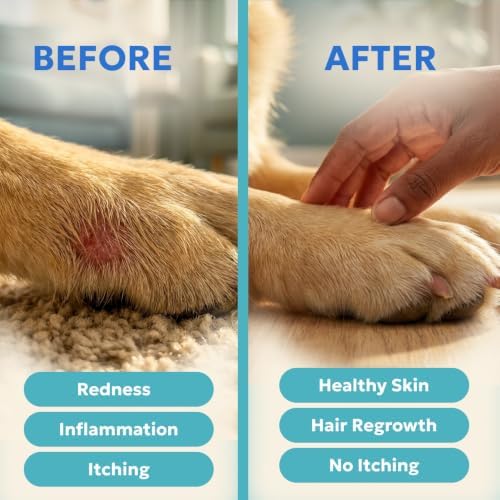 Forticept Blue Butter – Hot Spot Treatment for Dogs Cats | Dog Cat Wound Care | Skin Yeast Infections, Ringworm, Cuts, Rashes, First Aid Veterinary Strength Anti Itch Cream 4oz