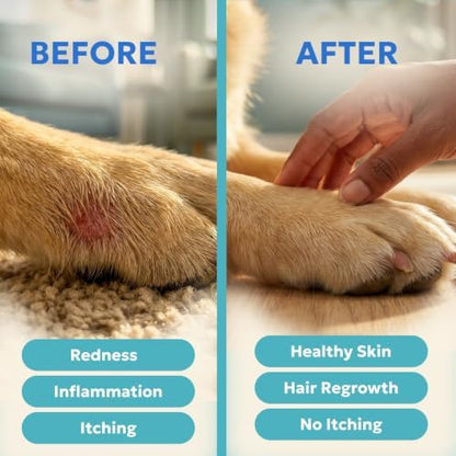 Forticept Blue Butter – Hot Spot Treatment for Dogs Cats | Dog Cat Wound Care | Skin Yeast Infections, Ringworm, Cuts, Rashes, First Aid Veterinary Strength Anti Itch Cream 4oz