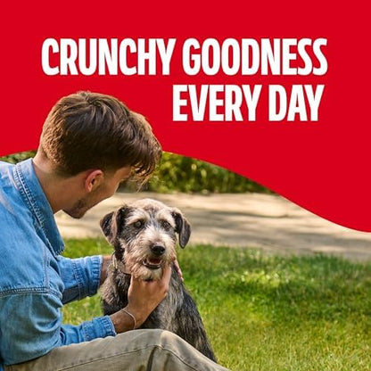 Milk-Bone GravyBones Dog Biscuits, Gravy Coated Small Dog Treats, 7 Lb. Box