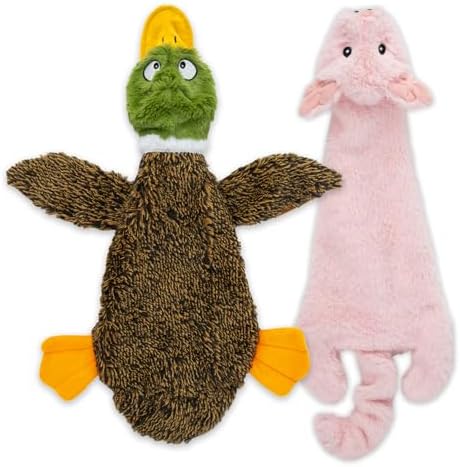 Best Pet Supplies 2-in-1 Stuffless Squeaky Dog Toy - Wild Duck, Pig, Medium