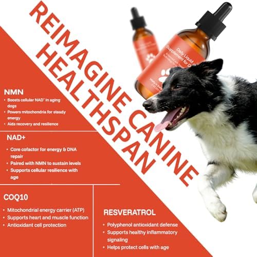 Dog Longevity Supplement NAD+ & NMN, Liposomal NAD Nicotinamide Riboside Resveratrol, Joint Health, Vitality & Healthy Aging, Easy to Give Every Day - Better Absorption, 60ML
