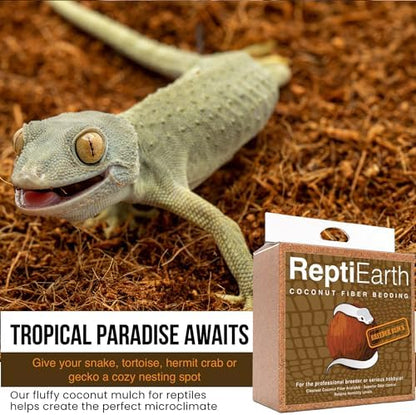 ReptiEarth Fine Coconut Fiber Substrate, Fluffy Small-Strand Reptile Substrate and Snake Bedding for Bioactive Terrarium Tanks, Organic Coco for Lizards, Frogs, Tarantulas (3 Pack Breeder Bundle)