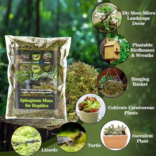 Sukh Sphagnum Moss for Reptiles - Terrarium Reptile Moss Substrate, 15.8 OZ