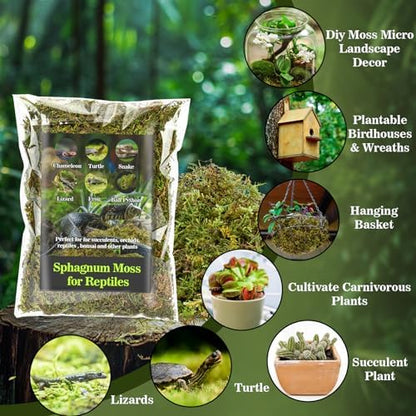 Sukh Sphagnum Moss for Reptiles - Terrarium Reptile Moss Substrate, 15.8 OZ