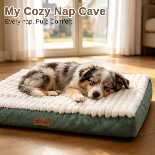 Orthopedic Dog Bed for Medium Dogs,Firm Egg Crate Foam,Nonslip Bottom,Green