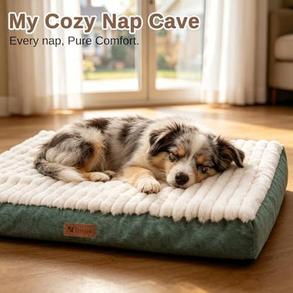 Orthopedic Dog Bed for Medium Dogs,Firm Egg Crate Foam,Nonslip Bottom,Green