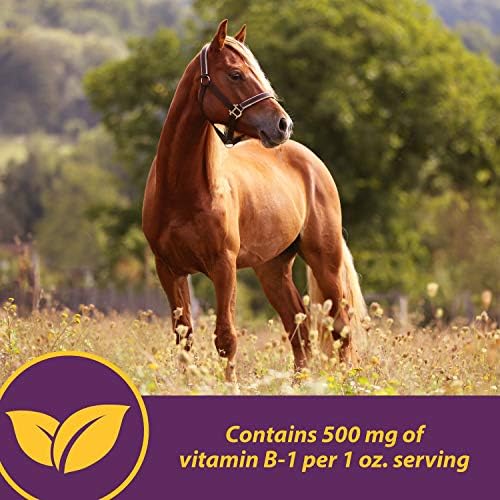 Farnam Horse Health Vita B-1 Crumbles Supplement for Horses, Supports Optimal Muscle Activity and Metabolism for Performance, 3 pounds, 48 Day Supply (Pack of 2)