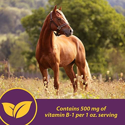 Farnam Horse Health Vita B-1 Crumbles Supplement for Horses, Supports Optimal Muscle Activity and Metabolism for Performance, 3 pounds, 48 Day Supply (Pack of 2)