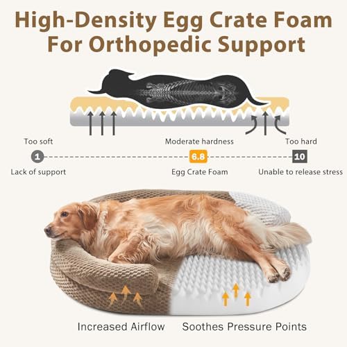 JOEJOY XL Orthopedic Dog Beds Large Sized Dog, Extra Large Washable Waterproof Oval Large Dog Bed with Removable Cover, Egg-Crate Foam Pet Bed with Bolster Sides & Non-Skid Bottom, Brown, 42''x32''