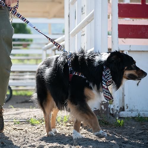 Hooey Nomad Walking Harness Totem XL