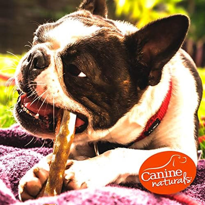 Canine Naturals Rawhide Free Peanut Butter Dog Chews, Sticks, 40 Count