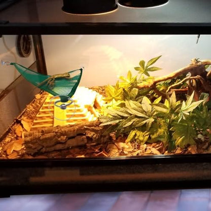 2 Pcs Bearded Dragon Lizard Hammock, Geckos Hammock, Breathable Mesh Reptile Hammock, Suitable for Iguanas, Anoles, Geckos, Snakes, Chameleon（Green）