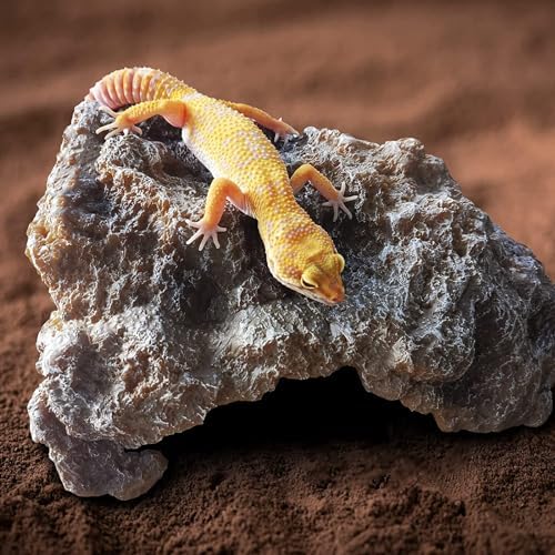 Reptile Hides Rock Reptile Cave Hideout Terrarium - Small