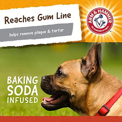 Arm & Hammer Super Treadz Mini Gorilla Dental Chew Toy, Small, 3.5 in, 24Pk