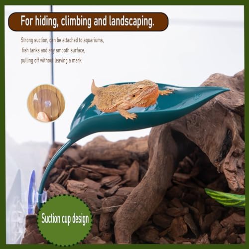 3pcs Crested Gecko Hide，Wall Climbing Gecko Toy，Reptile Leaf，Crested Gecko Tank Accessories，Turtle Tank Decorations，Tree Frog Terrarium Accessories (Grass Green)