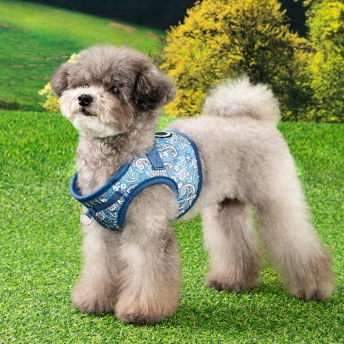 Puppia Cynthia Dog Vest Harness B (Step-in) Fashionable Paisley Pattern Spring Summer Harness for Small and Medium Dogs, Blue, X-Large