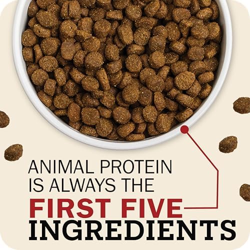 Redbarn Whole Grain Adult Dry Dog Food Kibble - Sky Chicken Recipe - Made in USA Recipe with Functional Ingredients to Support Healthy Heart, Skin, Coat, Immunity & Digestion - 4lb