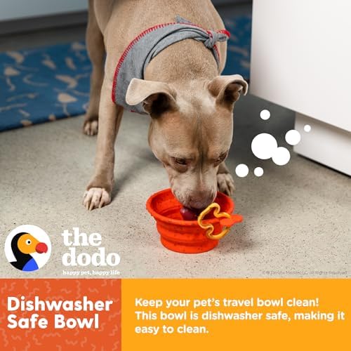 The Dodo Collapsible Dog Bowl, Red; Travel Dog Bowl That Folds Flat and Clips with Carabiner for Easy Storage and Carry