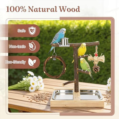 Bird Playground Natural Wooden Parrot Play Stand