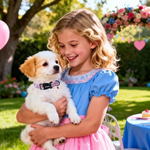 DOGWONG Valentine's Day Dog Collar-Cute Blue Heart Pattern Dog Collars, Adjustable Valentine Heart Pet Collars Puppy Collar with Quick Release Buckle for Girl&Boy Dogs,XS