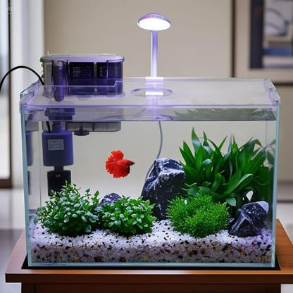 3 Gallon Glass Small Fish Tank, Betta Fish Tank Starter Kit with Filter, Lights,Lid.