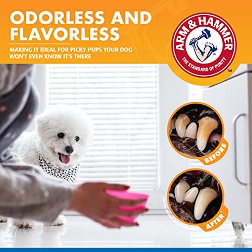 Combo Pack: Arm & Hammer Dog Dental Tartar Control Water Additive and Fresh Breath Vanilla Ginger Enzymatic Toothpaste