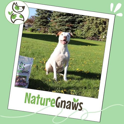 Nature Gnaws Extra Thin Bully Sticks 5-6" Rawhide Free Dog Chews, 10 Count