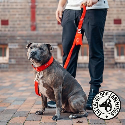 Dog Friendly Co. Poop Bag Holder for Leash, Dog Waste Bag (Pink Camo)