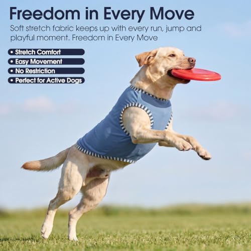 IECOii 2 Pack Dog Surgery Recovery Shirt Sleeveless Lightweight Dog Tshirt